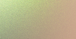 Chameleon